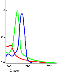 Absorption Graph